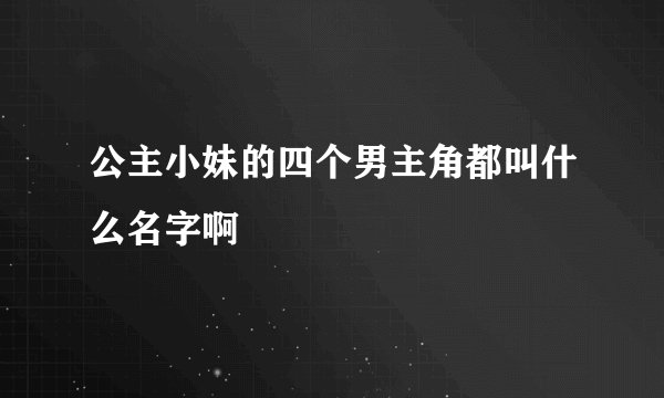 公主小妹的四个男主角都叫什么名字啊