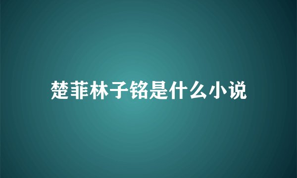 楚菲林子铭是什么小说