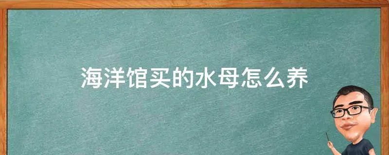 海洋馆买的水母怎么养
