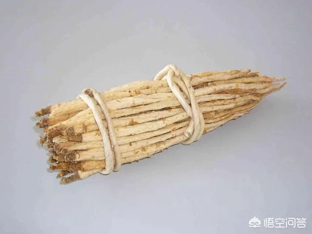 北沙参有几种吃法?