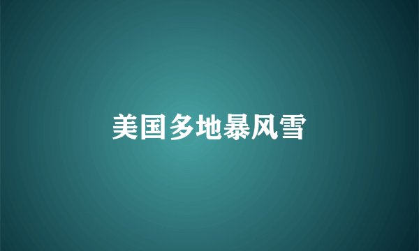 美国多地暴风雪