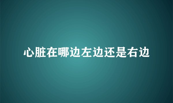 心脏在哪边左边还是右边