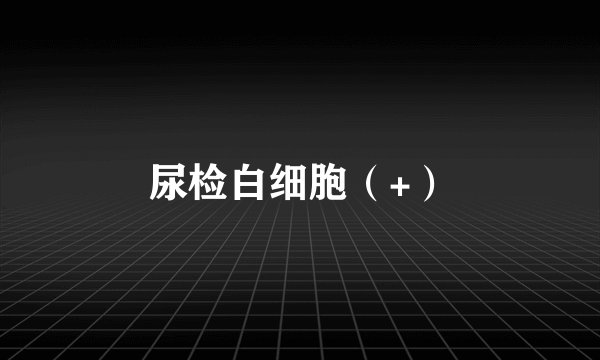 尿检白细胞（+）