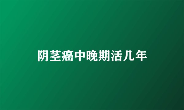 阴茎癌中晚期活几年