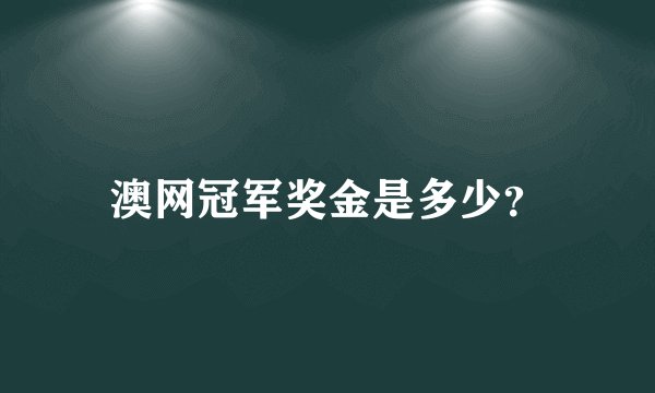 澳网冠军奖金是多少?