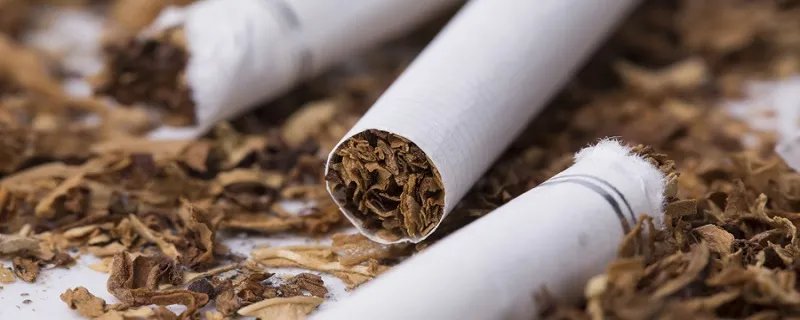 大苏和小苏有什么区别 大苏和小苏的区别