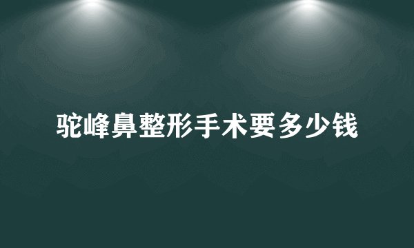驼峰鼻整形手术要多少钱