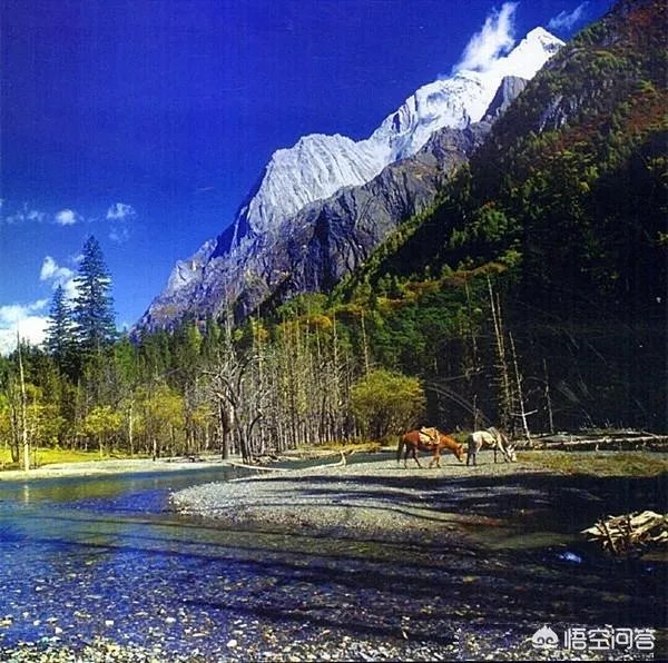 四川的四姑娘山好玩吗?