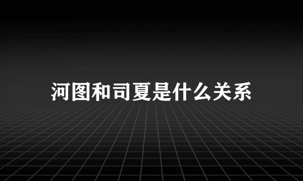 河图和司夏是什么关系