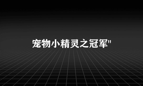 宠物小精灵之冠军