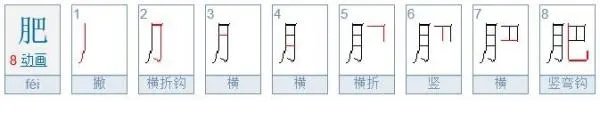 肥的笔顺怎么写