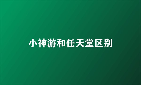 小神游和任天堂区别