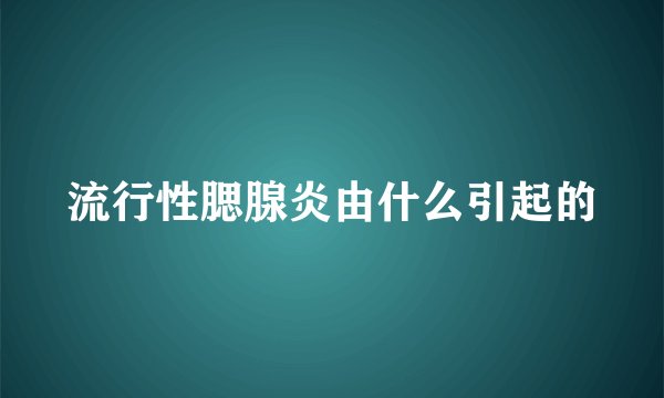 流行性腮腺炎由什么引起的