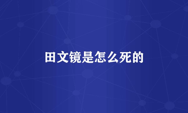 田文镜是怎么死的
