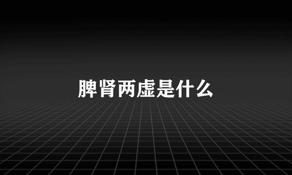 脾肾两虚是什么