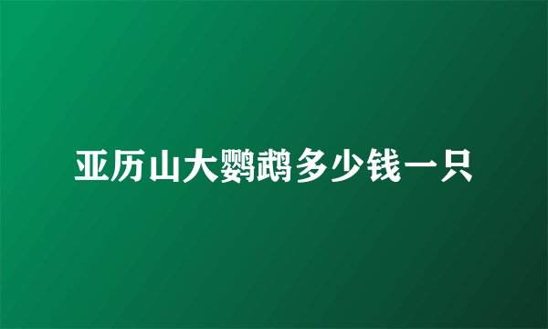 亚历山大鹦鹉多少钱一只