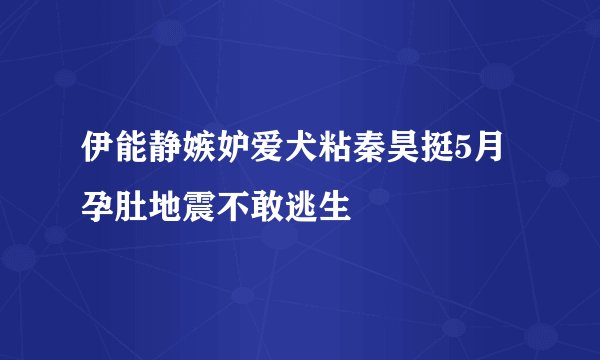 伊能静嫉妒爱犬粘秦昊挺5月孕肚地震不敢逃生