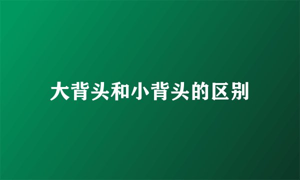 大背头和小背头的区别