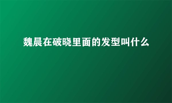 魏晨在破晓里面的发型叫什么