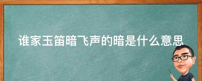 谁家玉笛暗飞声的暗是什么意思