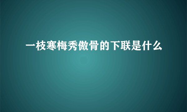 一枝寒梅秀傲骨的下联是什么