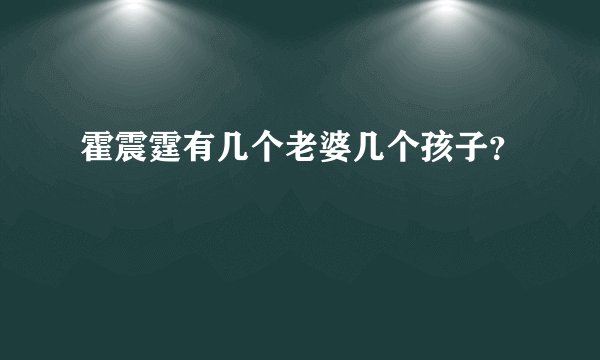 霍震霆有几个老婆几个孩子？