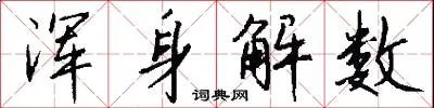 浑身解数