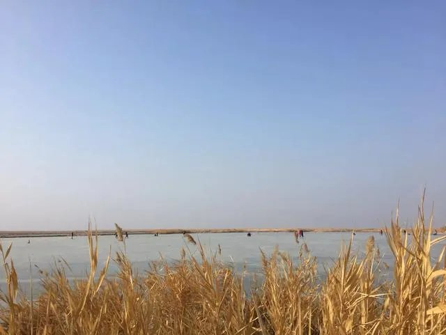 如果只能选一个,你认为新疆哪个湖最美?
