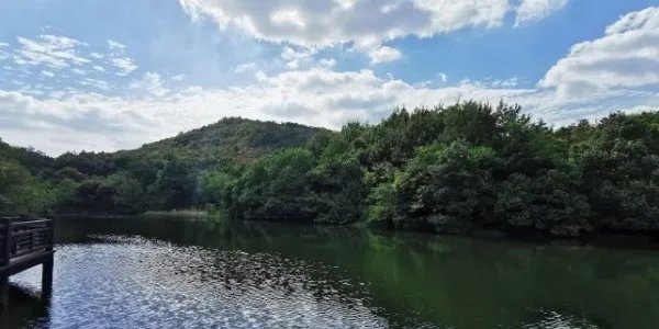 邯郸十大免费景点大全