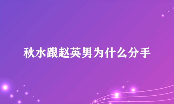 秋水跟赵英男为什么分手