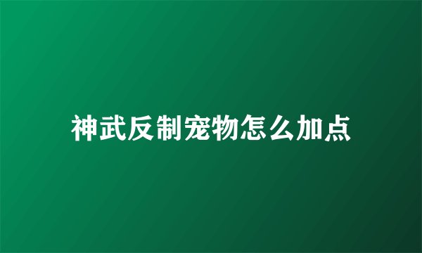 神武反制宠物怎么加点