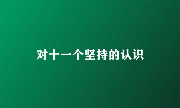 对十一个坚持的认识