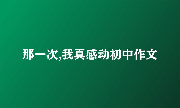 那一次,我真感动初中作文