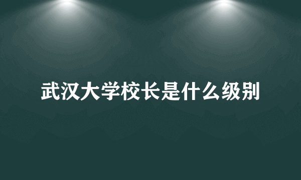 武汉大学校长是什么级别