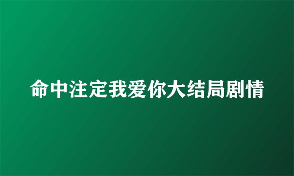 命中注定我爱你大结局剧情