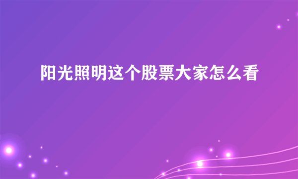 阳光照明这个股票大家怎么看