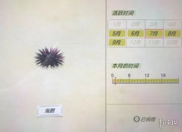 《集合啦动物森友会》海洋生物有哪些?海洋生物价格图鉴