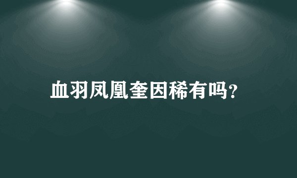 血羽凤凰奎因稀有吗？