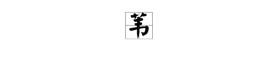 苇组词语