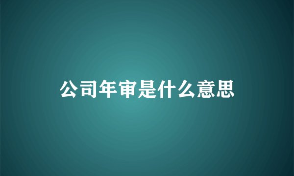 公司年审是什么意思