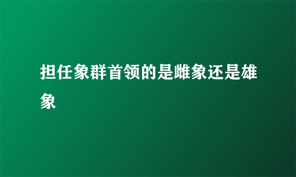 担任象群首领的是雌象还是雄象
