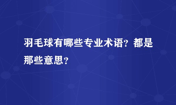羽毛球有哪些专业术语？都是那些意思？