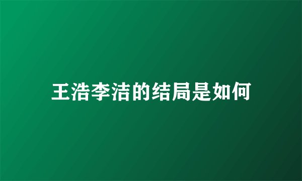 王浩李洁的结局是如何
