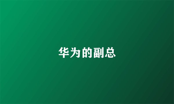 华为的副总