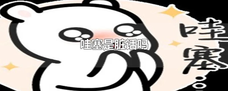 哇塞是脏话吗