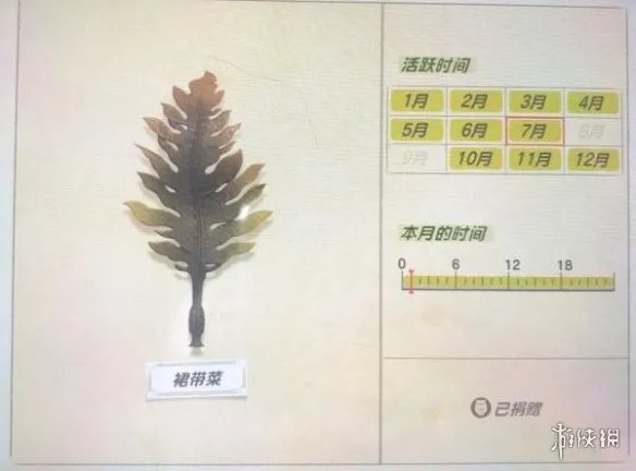 《集合啦动物森友会》海洋生物有哪些?海洋生物价格图鉴