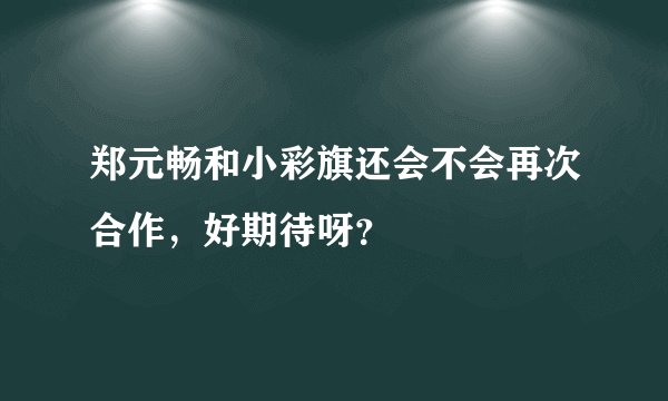 郑元畅和小彩旗还会不会再次合作，好期待呀？