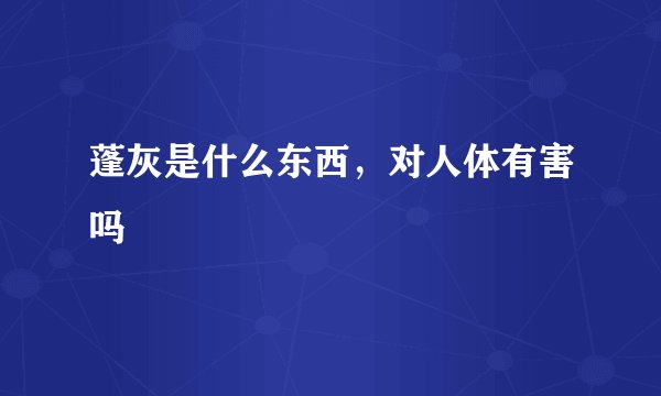 蓬灰是什么东西,对人体有害吗