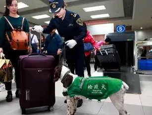 带连花清瘟被查，驻新西兰使馆做出了怎样的提醒？