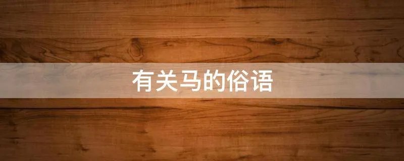 有关马的俗语